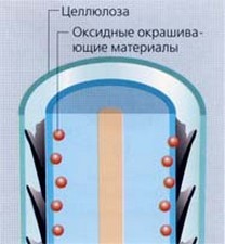 Описание: каждый волос обволакивается пленкой