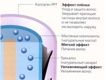 Описание: Дополнительный объем, эластичность и целлюлозное покрытие